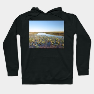 Wondrous Wetland Marsh - Point Pelee No.1 Hoodie